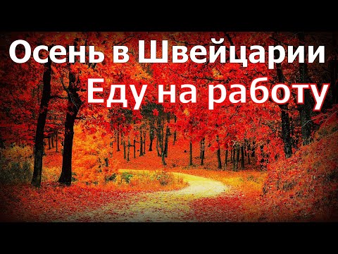 Видео: Еду на работу в Лозанну  |  Осень в Швейцарии