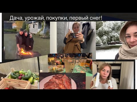 Видео: Дача, закрываем сезон, покупки на Wildberries, снежная Москва, интересные товары для дома!🍁