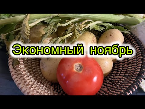 Видео: День 4/5🍂ЭКОНОМНЫЙ НОЯБРЬ🍂#запасы #еда #экономлю #рецепт