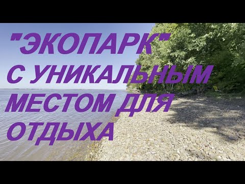 Видео: Экопарк бывший пионерский лагерь Чайка с уникальным местом для отдыха