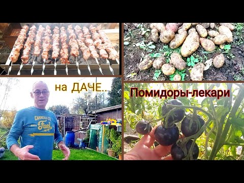 Видео: Дача-Работа-Шашлыки.. и    отдохнули,  и поработали 👍