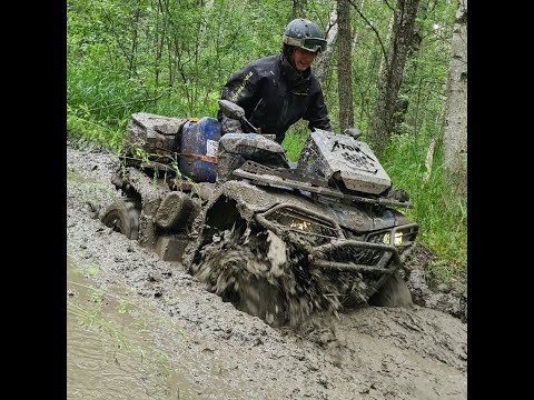 Видео: Демидовские болота 2023