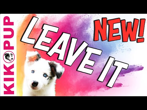 Видео: Leave It * НОВАЯ версия от KIKOPUP *