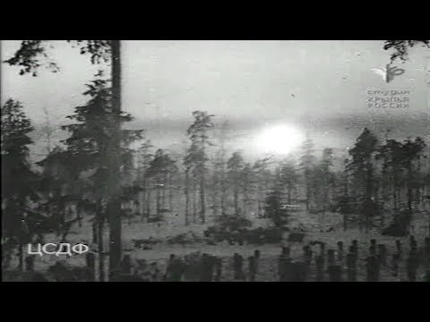 Видео: Принимай нас, Суоми-красавица (1940)