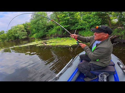 Видео: СКАЖЕНІ КОРЯЖНІ РИБИ ГНУТЬ УДОЧКУ В БУБЛИК. Рибалка на боковий кивок