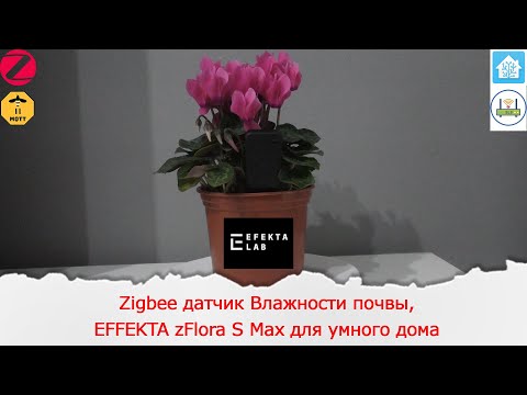 Видео: Zigbee датчик Влажности почвы, а так-же температуры, влажности и освещения EFFEKTA zFlora S Max