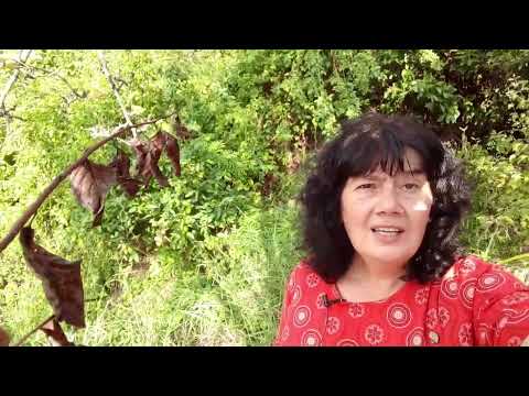 Видео: Можно ли управлять негативными эмоциями, и как этого достичь