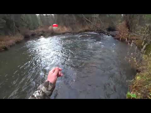 Видео: Таёжный Клёв Хариуса на УДОЧКУ/ Осенняя Рыбалка на Дикой-Глухой РЕКЕ/ Гроза в СЕНТЯБРЕ!!!