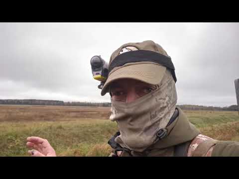 Видео: Добыл селезня. Набрал к нему картоху. И расскажу как , побывал на международном семинаре на ВОЛКА.