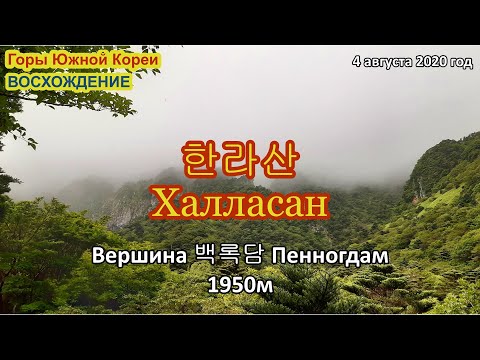 Видео: Халласан. Восхождение на вершину.