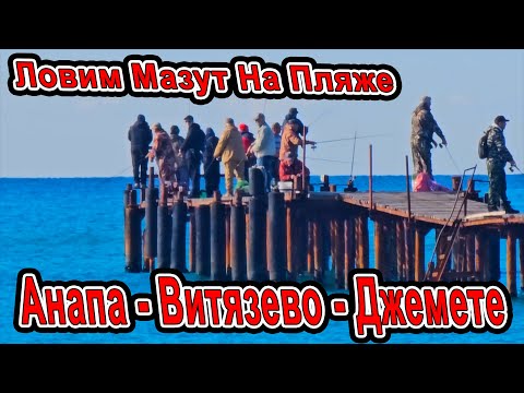 Видео: #Анап ШОК ОПЯТЬ ЛОВИМ МАЗУТ! Витязево Паралия и Пляжи от Анапы до Джемете