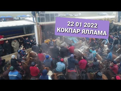 Видео: 22 01 2022 Қызыләскер Бозсу кокпар Манаповтар әулеті