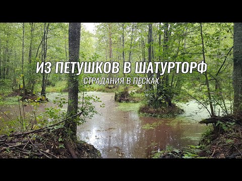 Видео: Веломаршруты Московской области ● Петушки - Шатурторф ● В песках Крутовского заказника