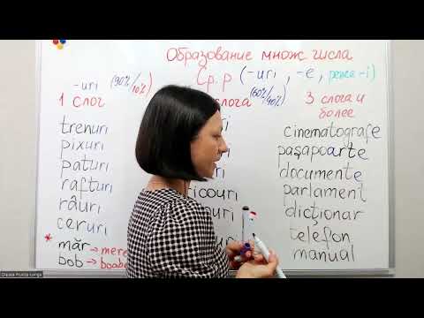 Видео: Множественное число существительных среднего рода