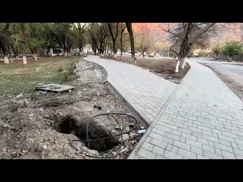 Видео: 11 ноября 2025 г.