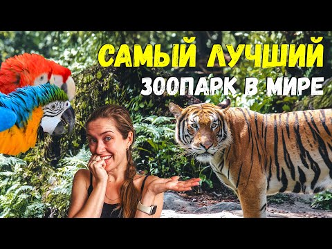 Видео: ЗООПАРК СИНГАПУРА | Зона 1 из 5: Singapore Zoo