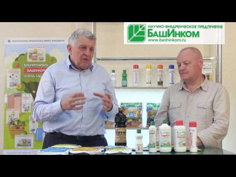 Видео: Как работают гуматы? Интересный разговор с профессором Поповым