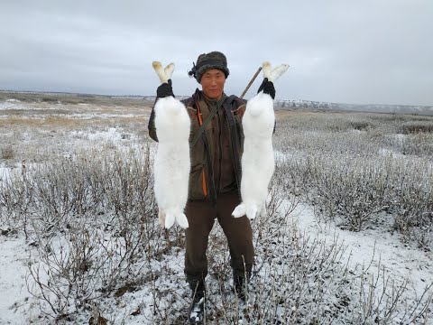 Видео: +18 Охота на зайца в Якутии Yakutia
