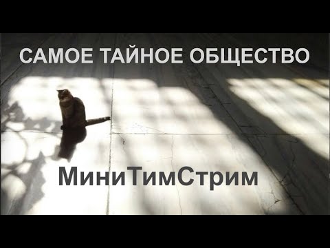 Видео: "САМОЕ ТАЙНОЕ ОБЩЕСТВО". МиниТимСтрим