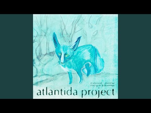 Видео: Синие лисы неуязвимы