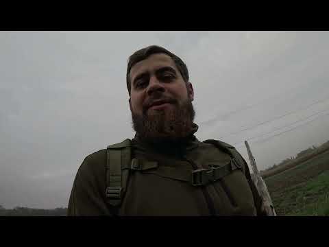 Видео: Охота на зайца 🐇