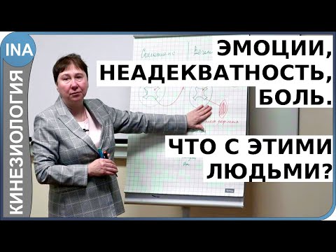 Видео: Эмоции. Фобии и страхи. Ненависть и злость. Что с людьми? Л.Ф.Васильева. Кинезиология