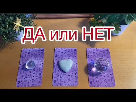Видео: Да или Нет🎱ответ на любой вопрос