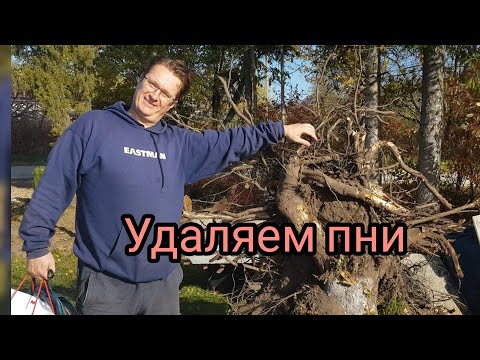 Видео: Как удалить пни на  участке? Данил расскажет и покажет. Kubota KX 019-4,