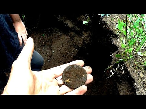 Видео: Монеты заброшки.