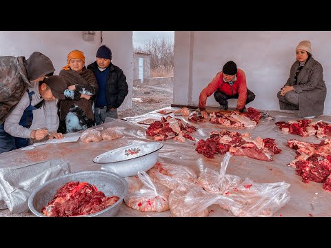 Видео: Казахстан! Зарезали ЛОШАДЬ! Зачем казахи РАЗДАЮТ мясо? Традиции Казахстана! Сельская жизнь