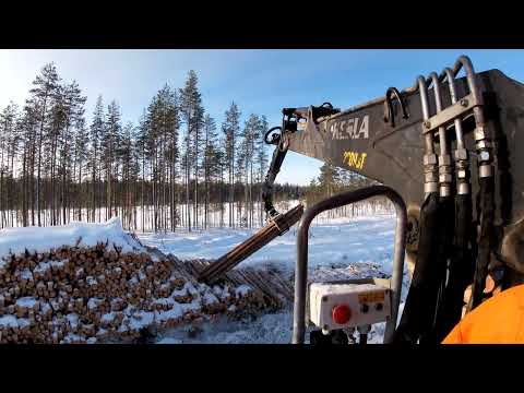 Видео: Лесовозы и неудобная погрузка