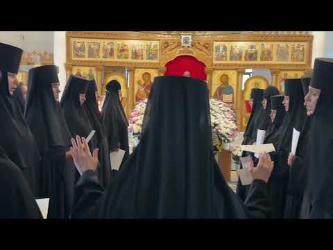 Видео: 28 августа 2025 г.