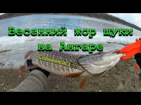 Видео: Весенний жор щуки на Ангаре. Рыбалка в Иркутской области