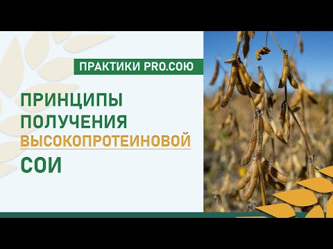 Видео: Принципы получения высокопротеиновой СОИ | Практики PRO.СОЮ