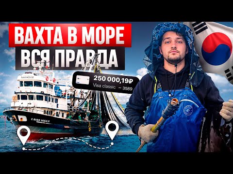 Видео: РАБОТА НА МОРЕ В Ю. КОРЕЕ / УЕХАТЬ МОЖЕТ КАЖДЫЙ