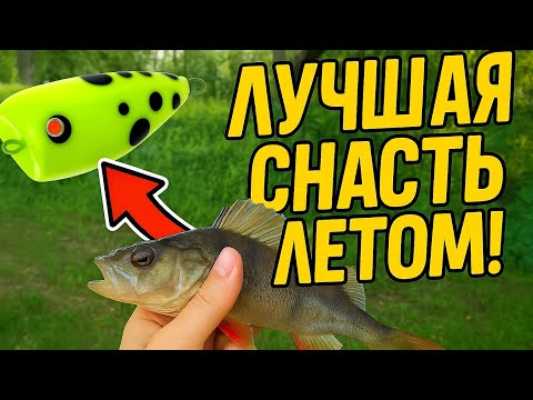 Видео: ЛУЧШАЯ СНАСТЬ ЛЕТОМ !!! | ЛОВЛЯ НА ПОПЛА ПОППЕР НА РЕКЕ ПСЁЛ !!!