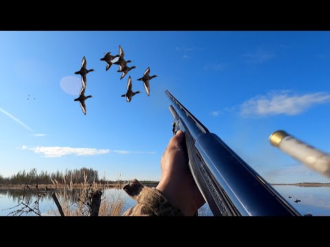 Видео: 1. Benelli Vinci hunting in Kolyma . Benelli Vinci на Колыме 1.
