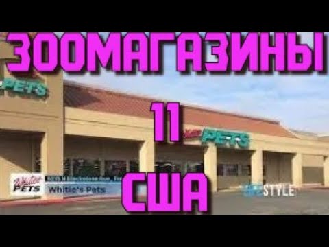 Видео: ЗООМАГАЗИНЫ США  "Whitie's Pets"  Другой  Мир. Обзор зоомагазинa.Часть 2.
