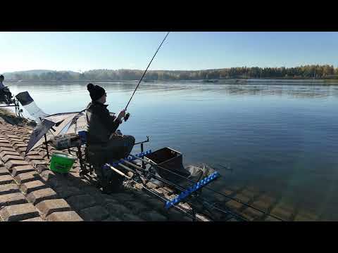 Видео: Кубок Urban Fishing осень 2024. ГК Заславль. Личный зачёт.