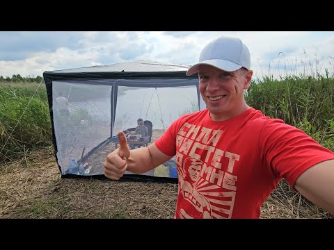 Видео: Ночная рыбалка с палаткой. Это нужно видеть! Агрогородок Мотоль, Республика Беларусь.