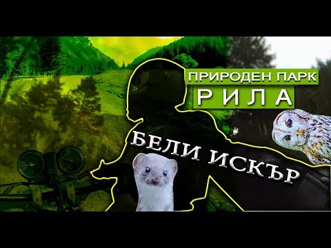 Видео: БЕЛИ ИСКЪР/ПРИРОДЕН ПАРК РИЛА