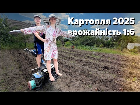 Видео: Як картопля щороку об’єднує нашу родину!