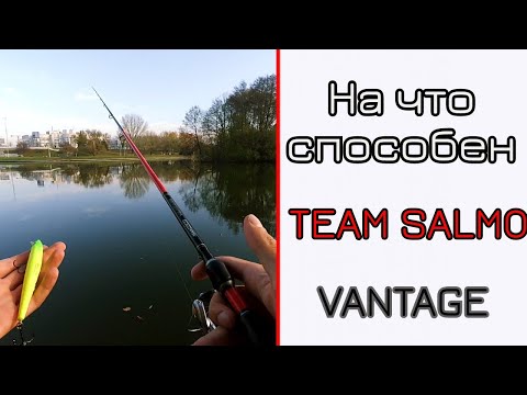 Видео: Что может спиннинг для твичинга Team Salmo Vantage. Мой спиннинг!