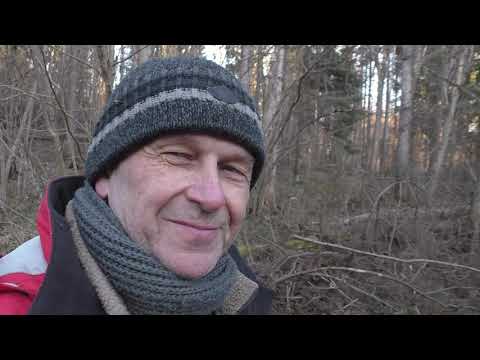 Видео: В одиночку, в Холодную Глушь (3).  Река бобровых владений. Арктический завтрак