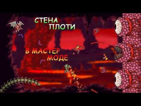 Видео: БИТВА СО СТЕНОЙ ПЛОТИ НА МАСТЕРЕ В terraria