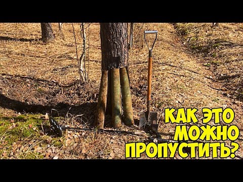 Видео: Коп 2018 - ВСЮ НОЧЬ СНИЛИСЬ ОНИ, и на ВЫБИТОМ МЕСТЕ ТОЛЬКО Я ИХ СМОГ НАЙТИ!