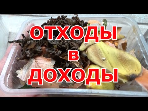 Видео: Пищевые отходы превращаем в ценное удобрение, ферментация кухонных отходов улучшаем почву на участке