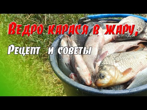 Видео: Как ловить много карася. Делюсь опытом.