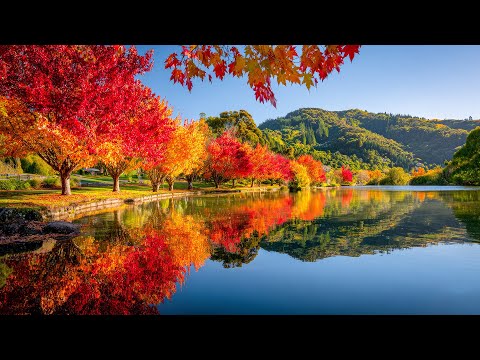 Видео: Послушайте Эту Музыку И Вам Станет Легче!🌿расслабляющая музыка для глубокого спокойствия