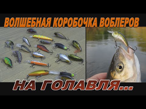 Видео: Волшебная коробочка воблеров на голавля